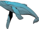 niebieski wieloryb