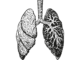 Jakie są naturalne sposoby na poprawę zdrowia płuc?