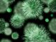 Jakie są naturalne metody na wzmocnienie odporności przed sezonem grypowym?